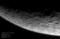 /album/galleria-foto-homepage/furnerius-copia-jpg/